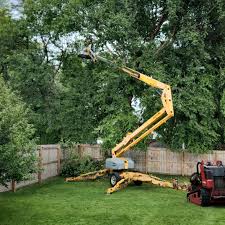 Artificial Turf Installation in Three Rivers, CA